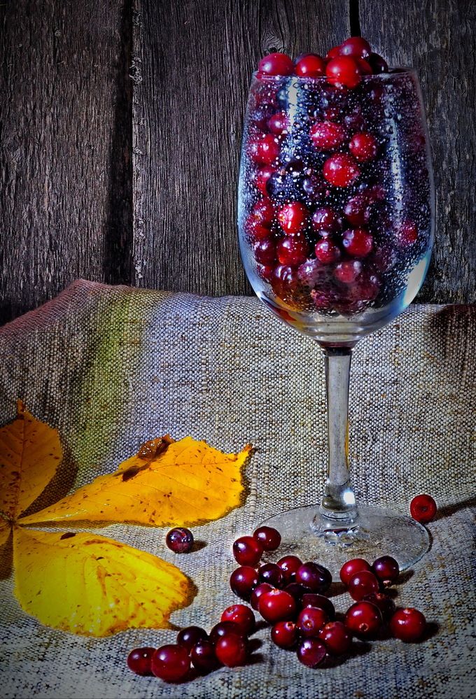 Photograph by Риганов Борис