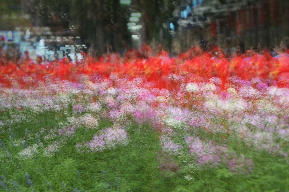 Photograph by esti lahat