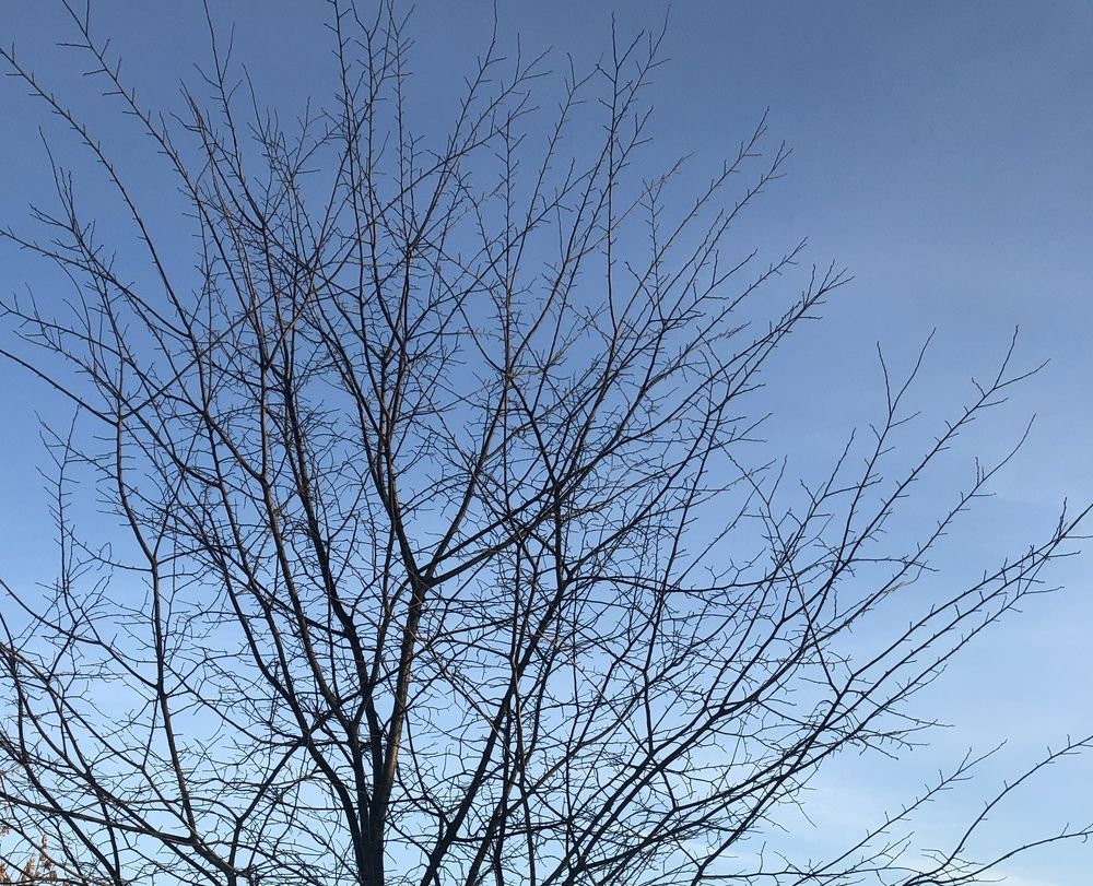 Photograph by Яна Цицилашвили