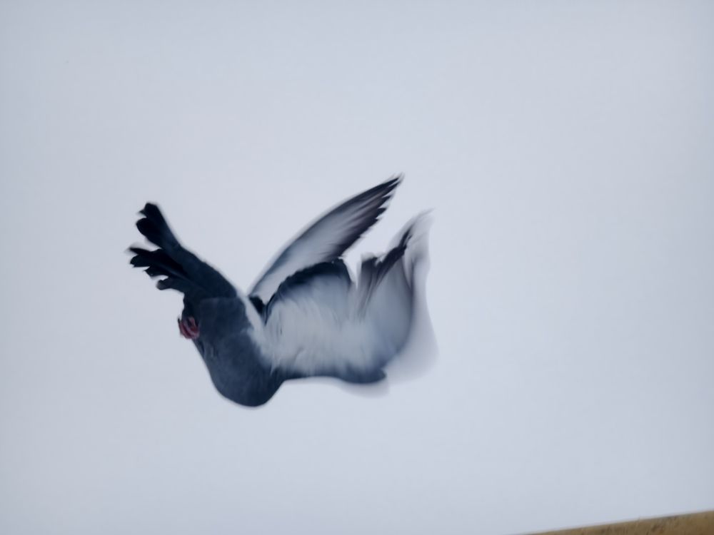 Фотография автора Olga Shchetinina