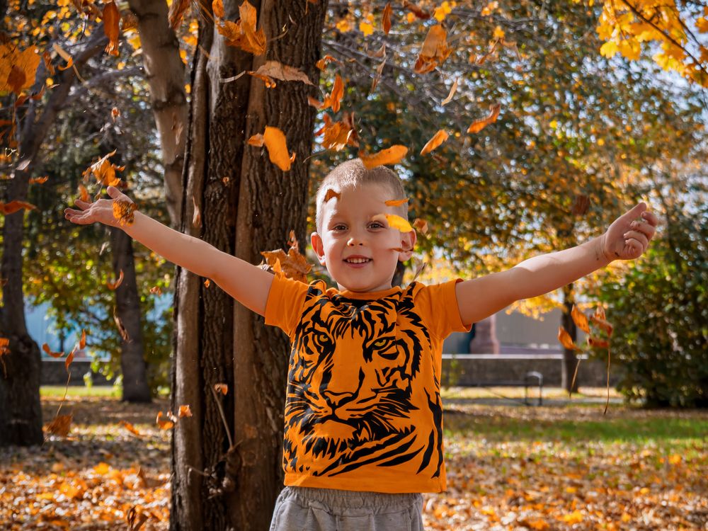 Фотография автора Владимир Зубков