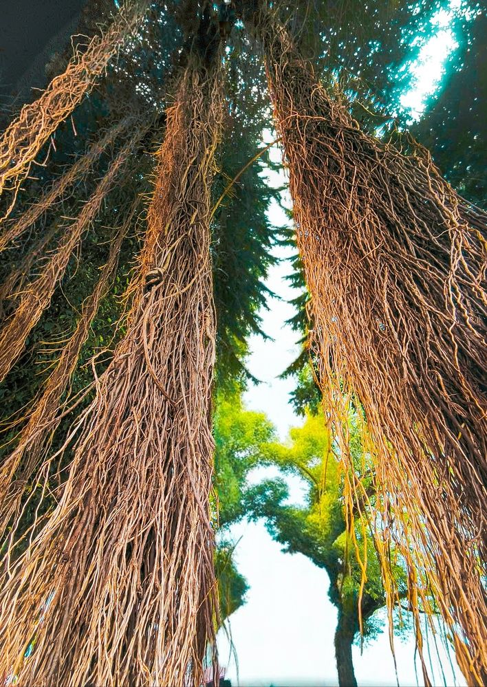 Photograph by Edi Hidayat