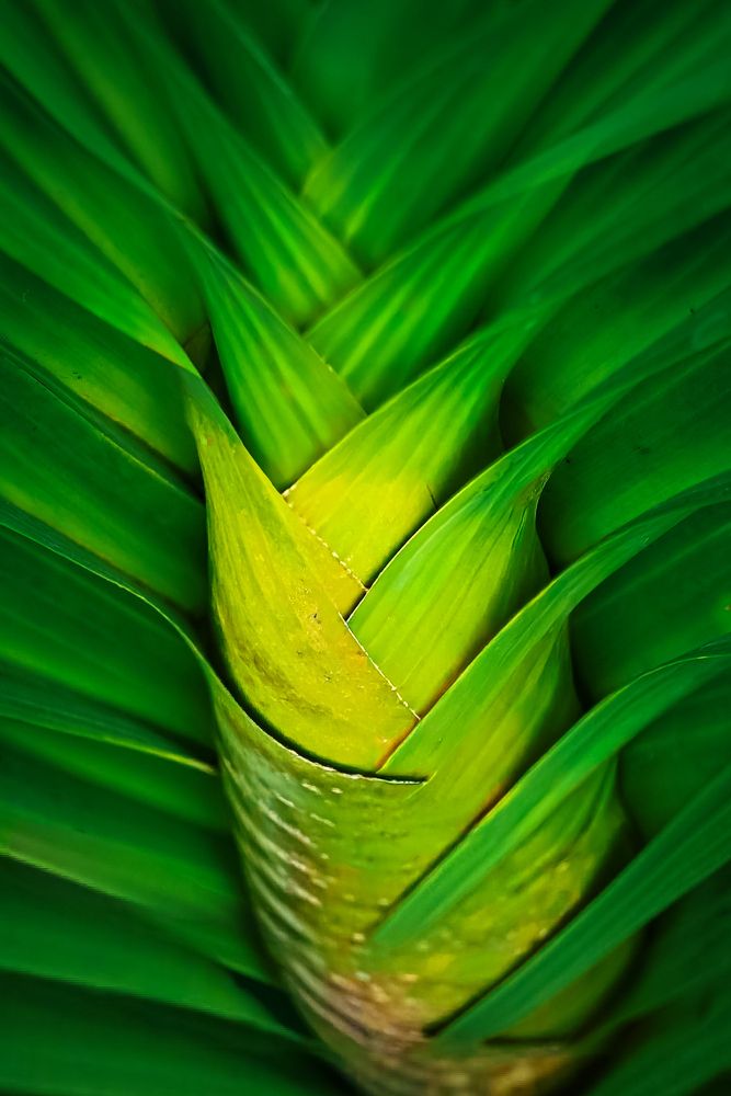 Photograph by Edi Hidayat