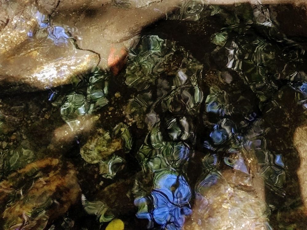 Фотография автора Елена Климова