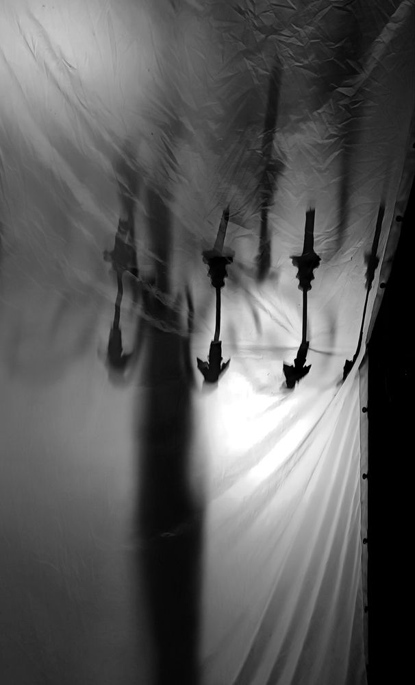 Photograph by Olga Kot