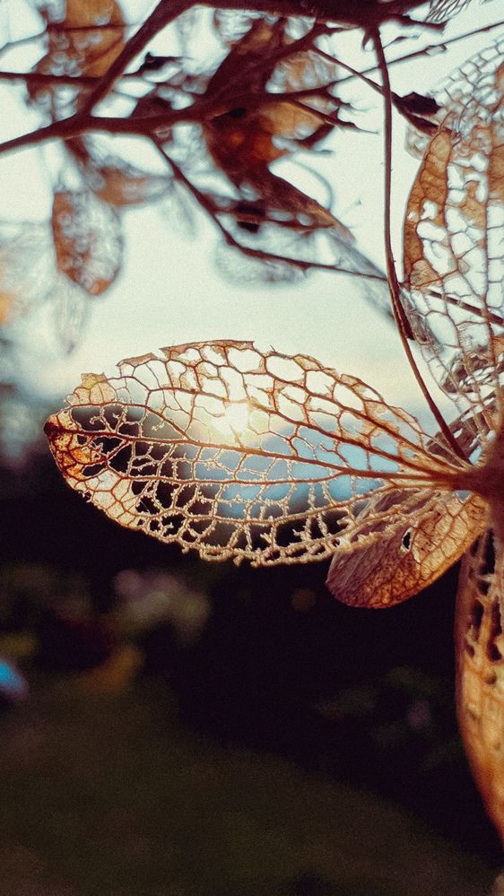 Photograph by Алена Жирова