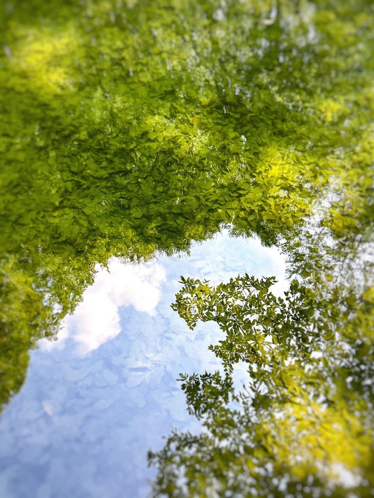 Photograph by Аруза