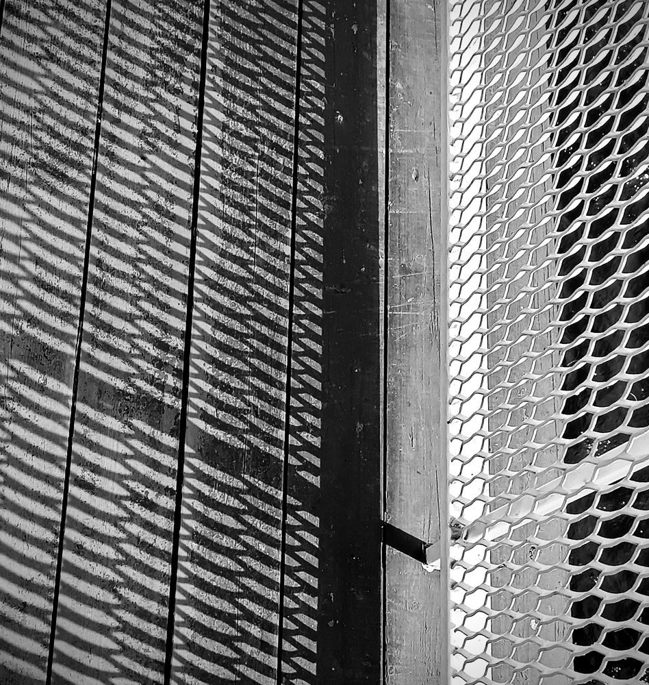 Photograph by Olga Kot