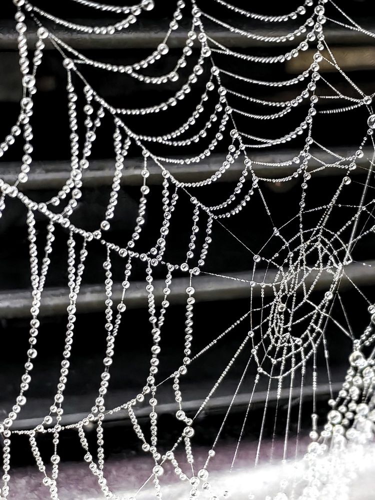 Фотография автора НАТАЛЬЯ СЕВЕР