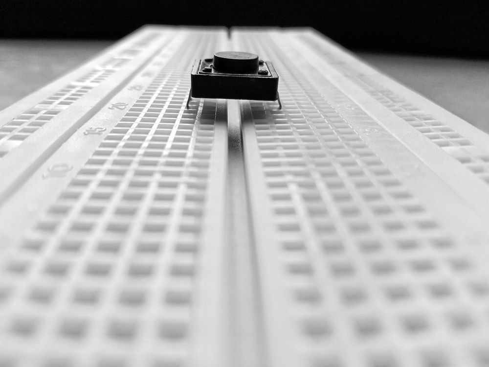 Фотография автора Captured Chronicles