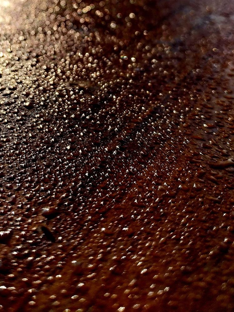 Photograph by Rahul Raman