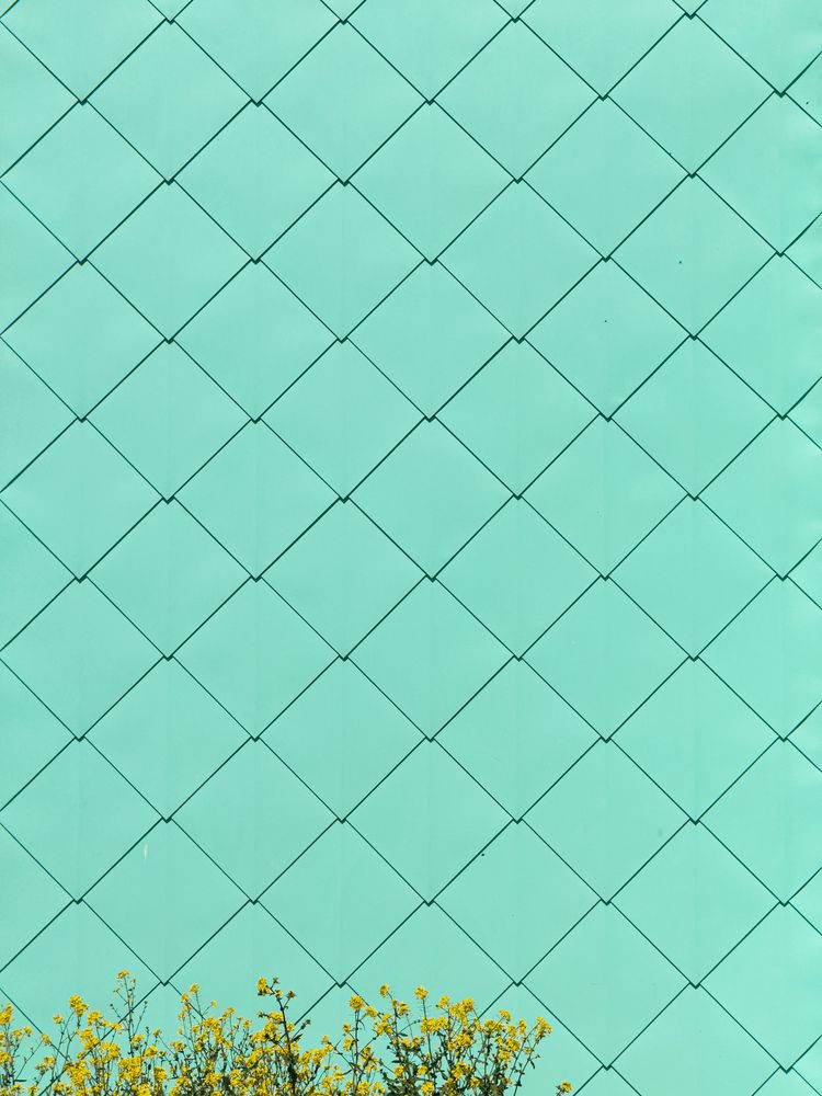 Photograph by Анна Голубцова