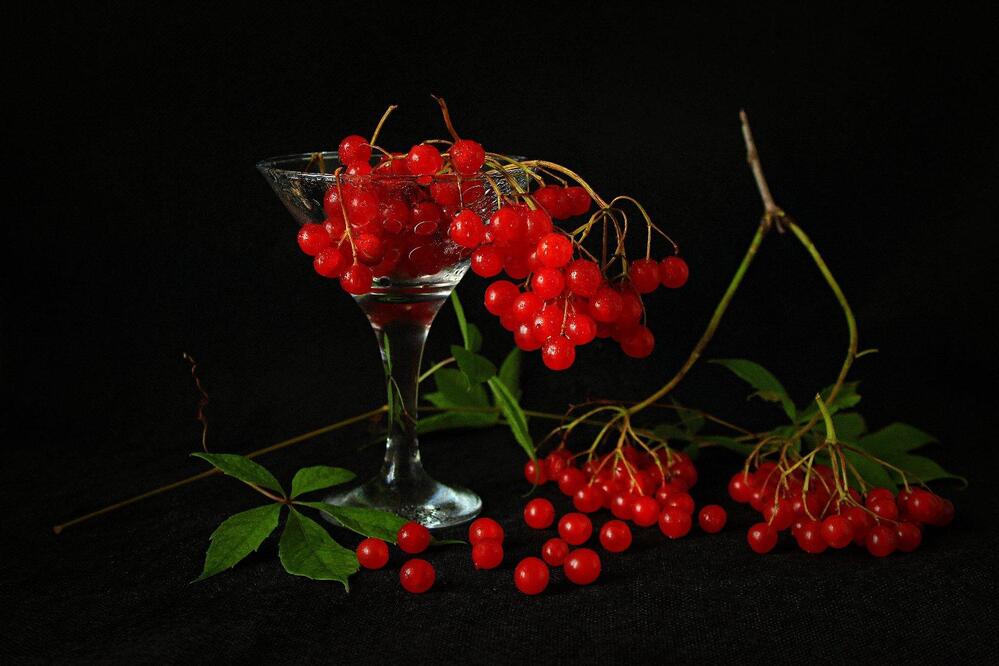 Photograph by Сергей Кожевников