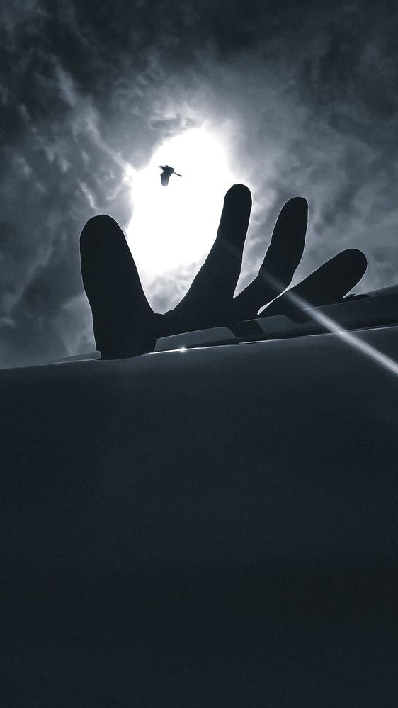 Photograph by Павел Макаров