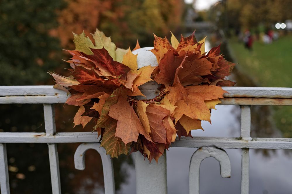 Photograph by Яна Егорова