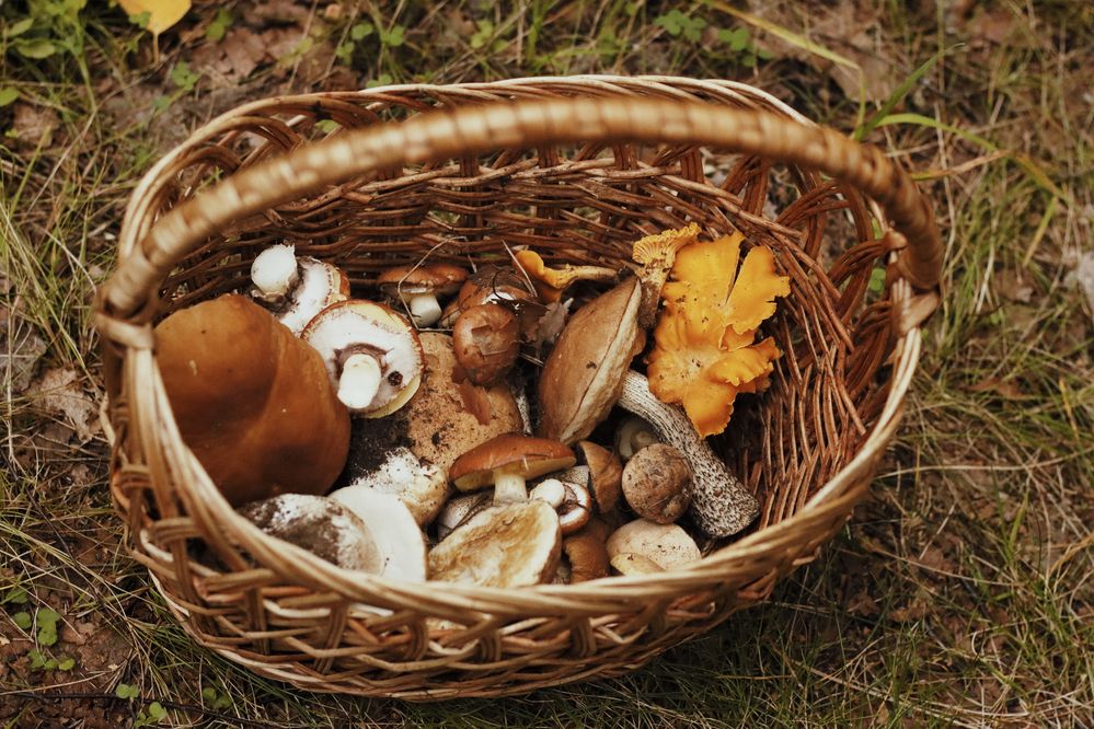 Photograph by Яна Егорова