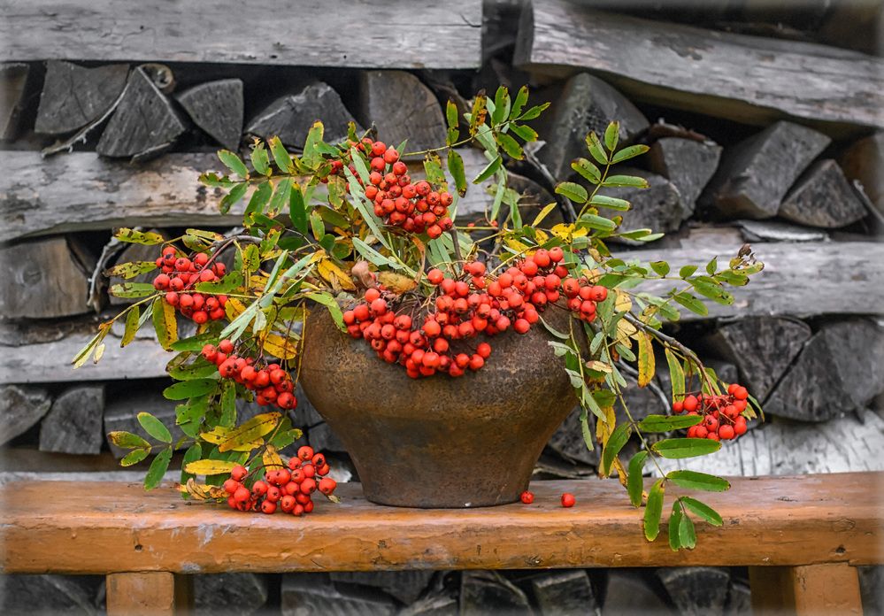 Приходи ко мне, осень, пить рябиновый чай...