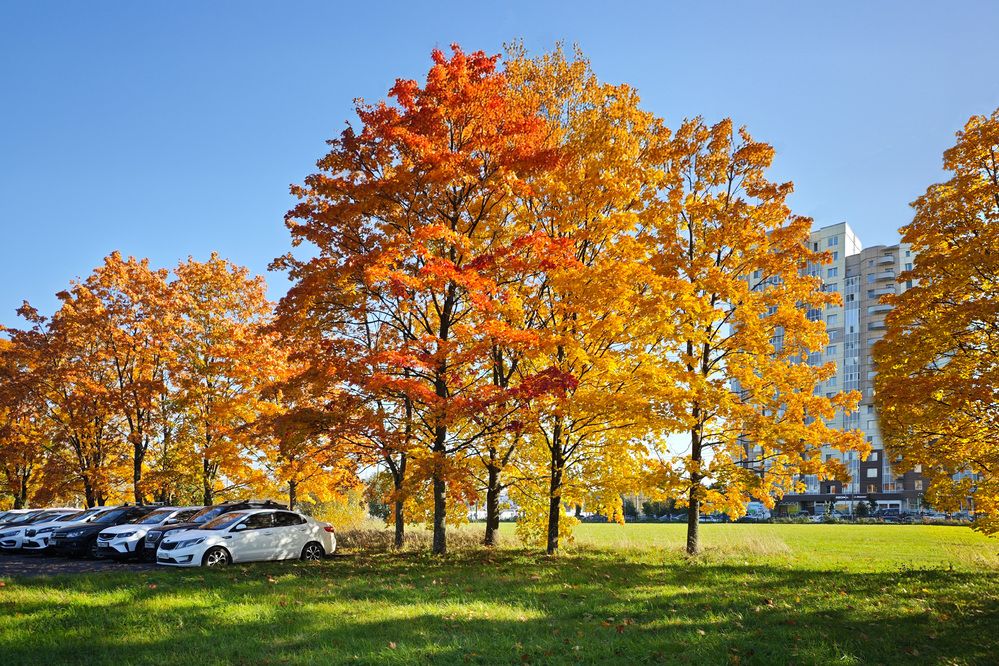 Осень наступает...