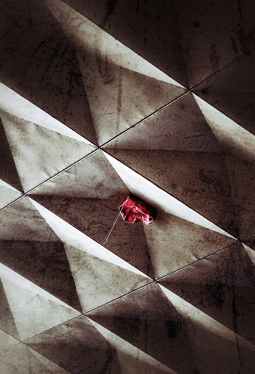 Фотография #12706424