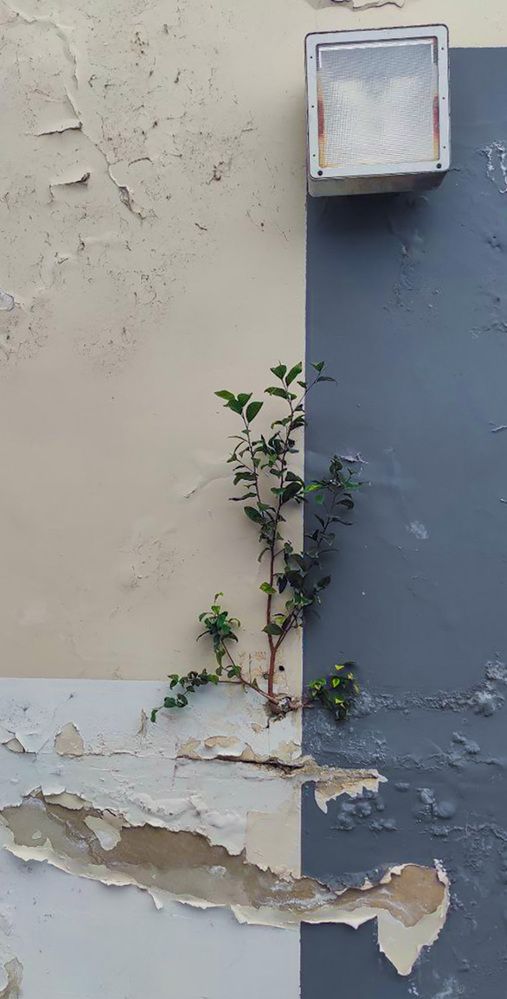 Photograph by Александр Кучерявый