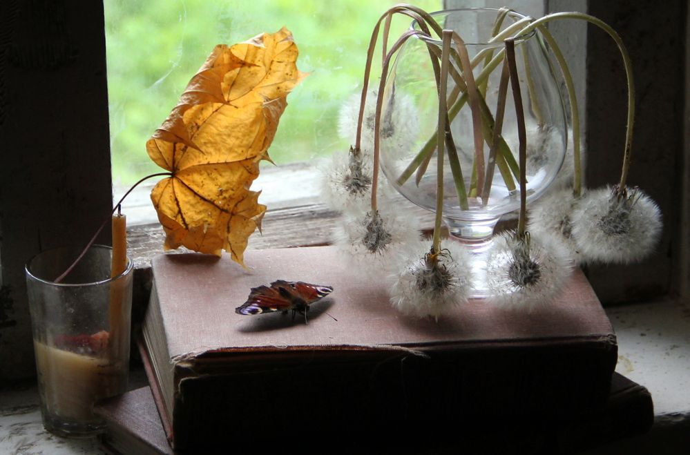 Photograph by Жанна Нечаева