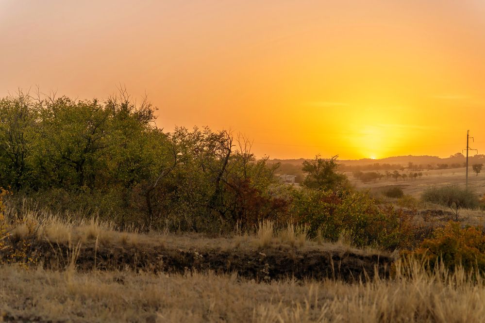 Photograph by Коржова Наталья