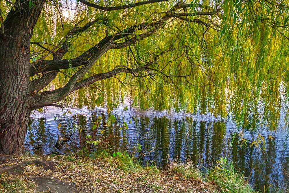 Photograph by Андрей Хитров