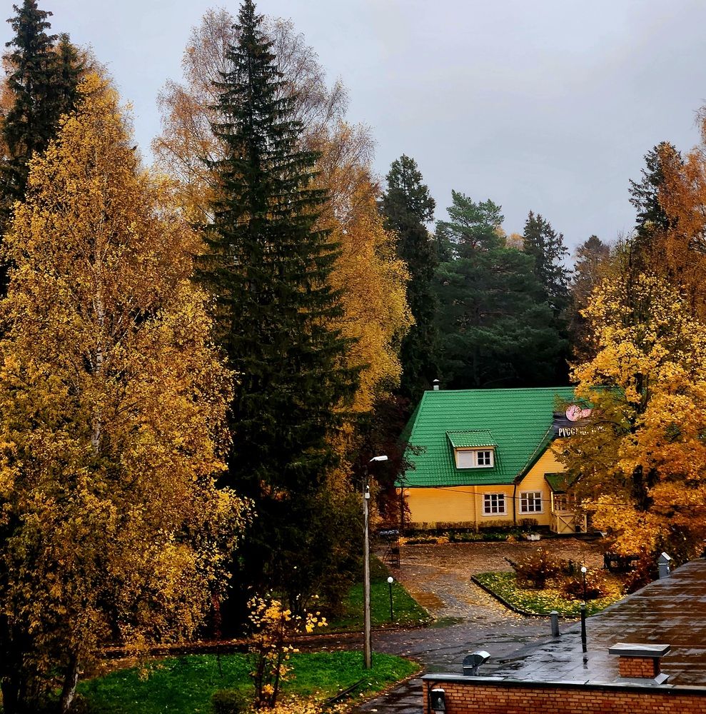 Photograph by Ксения Черных
