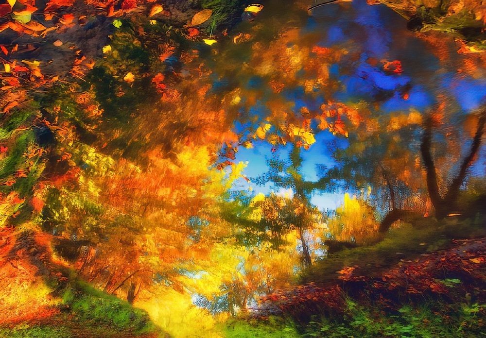 Photograph by Владимир