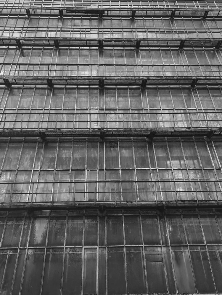 Photograph by Альбина