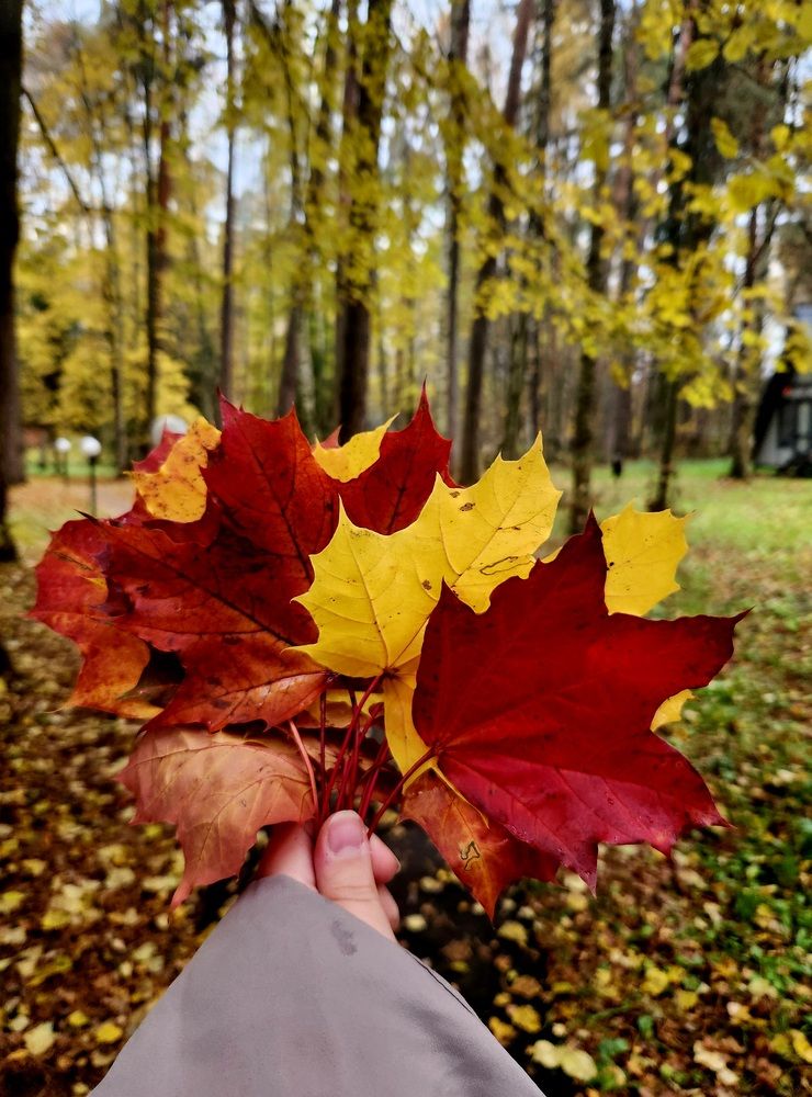 Photograph by Ксения Черных