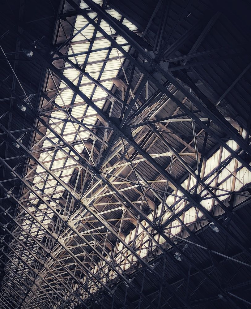 Фотография автора Евгения Владимировна