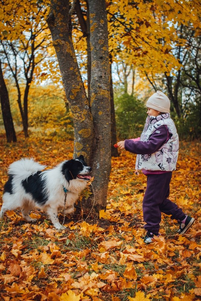 Photograph by Степоненкова Екатерина