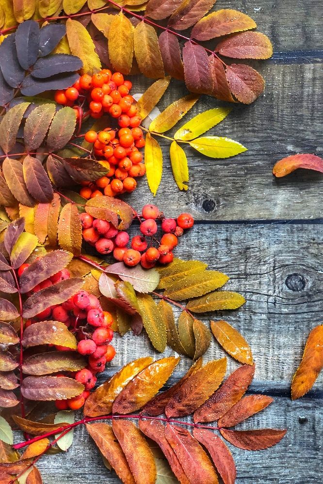 Photograph by Светлана Дмитриева