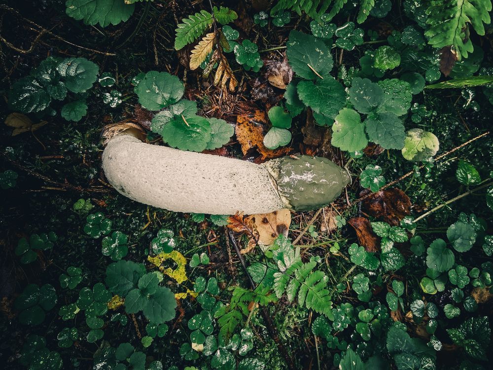 Photograph by Андрей Пучков