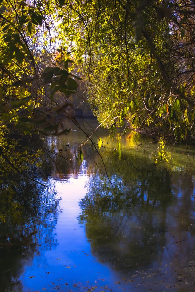 Photograph by Виктор Саврей