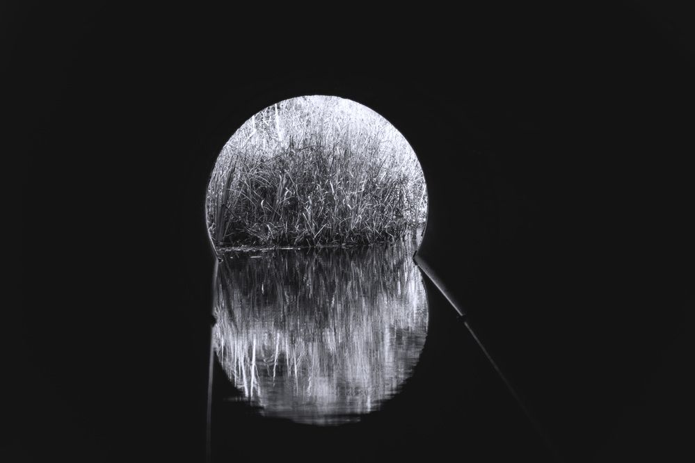 Photograph by Виктор Саврей