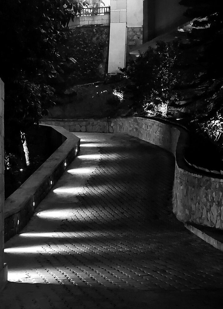 Photograph by G GOVIL