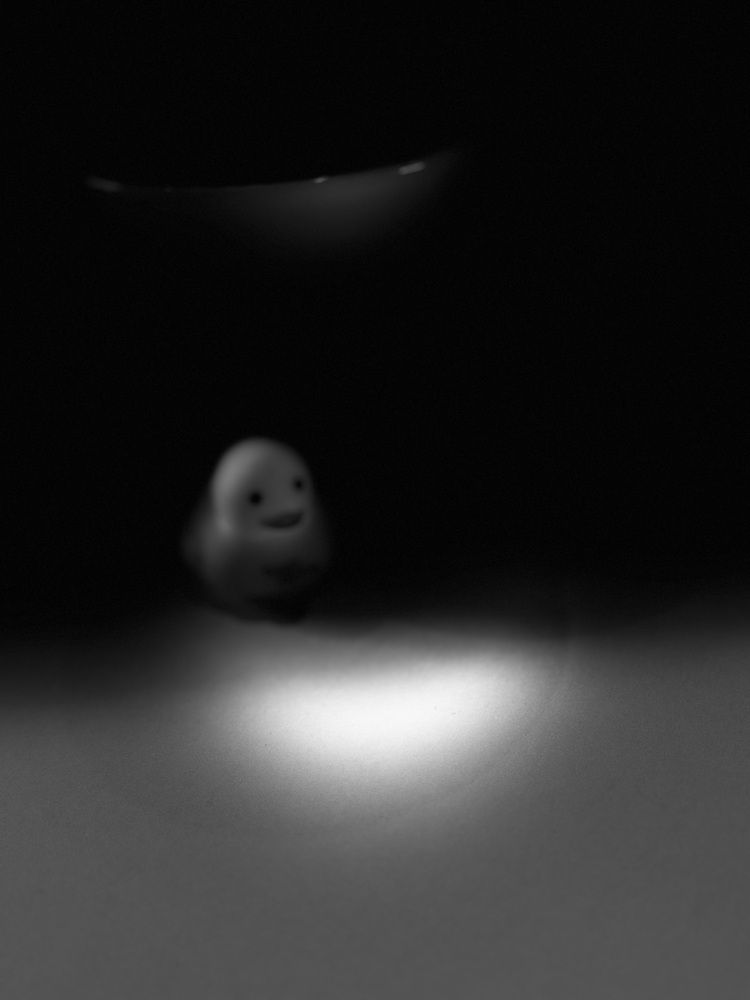 Фотография автора Злывко Владимир