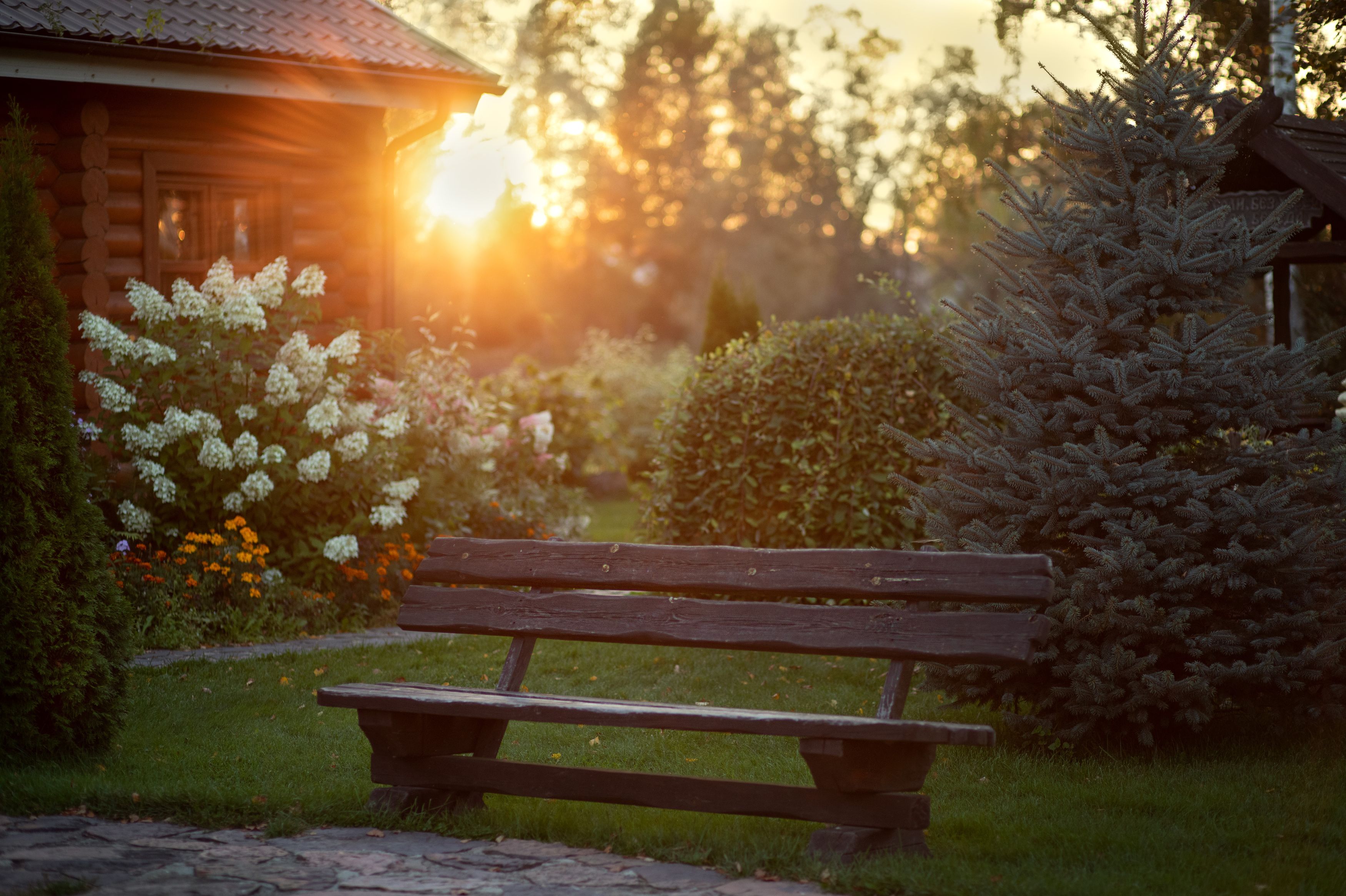 Photograph by Алена Самсонова