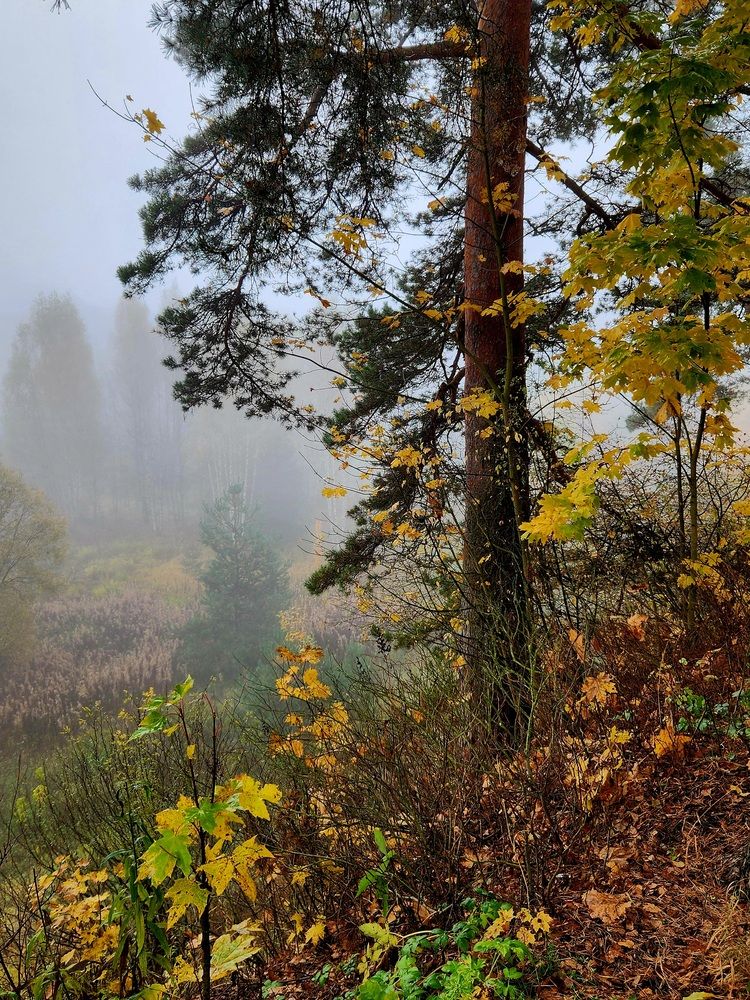 Photograph by Ксения Черных
