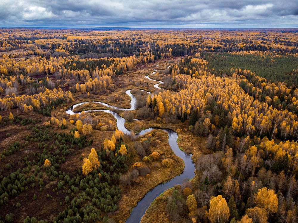 Photograph by Тимофей Шутов