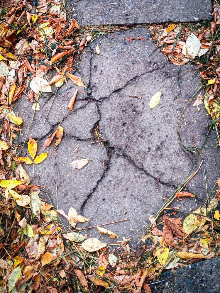 Photograph by Альбина Майкова