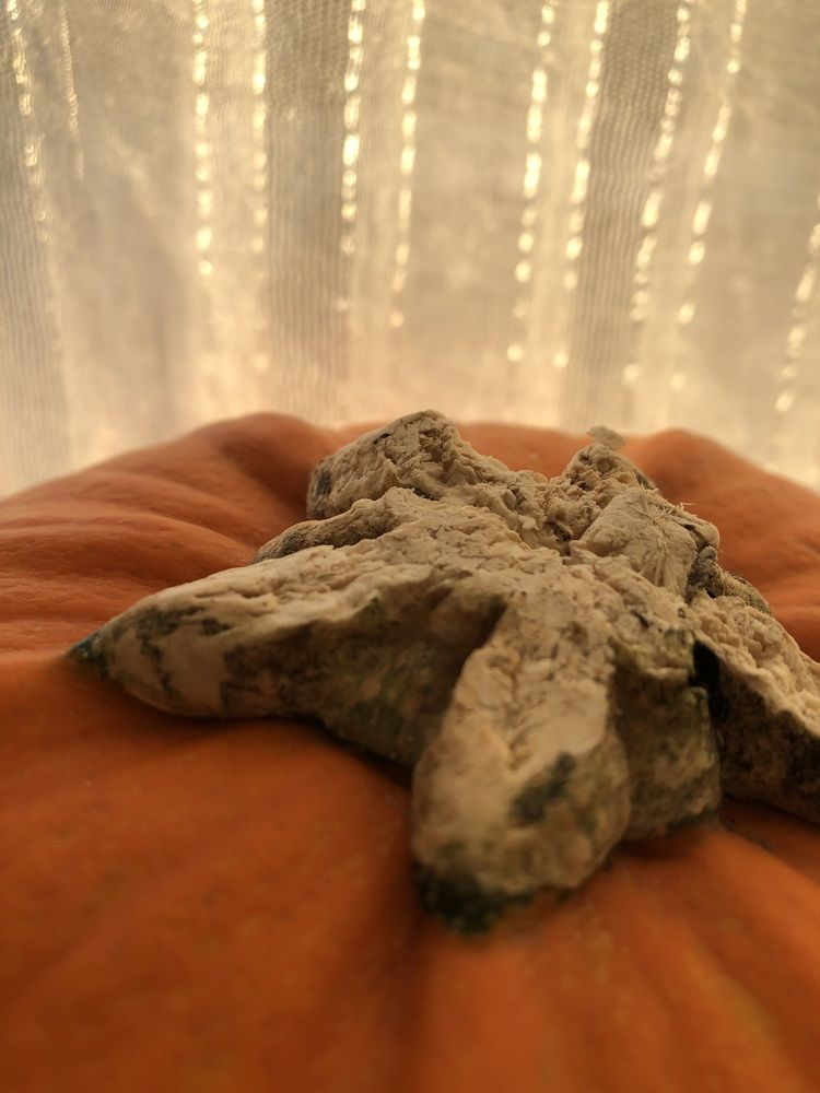 Photograph by Valentina Jegorova