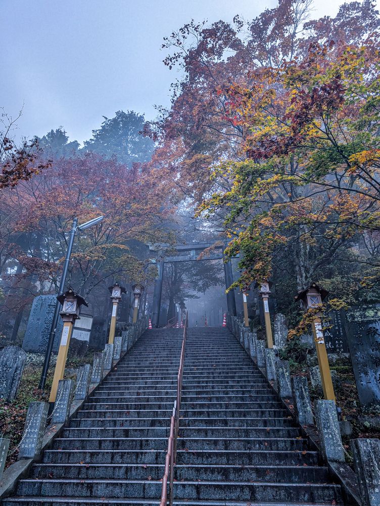 Фотография автора ron._. stagram