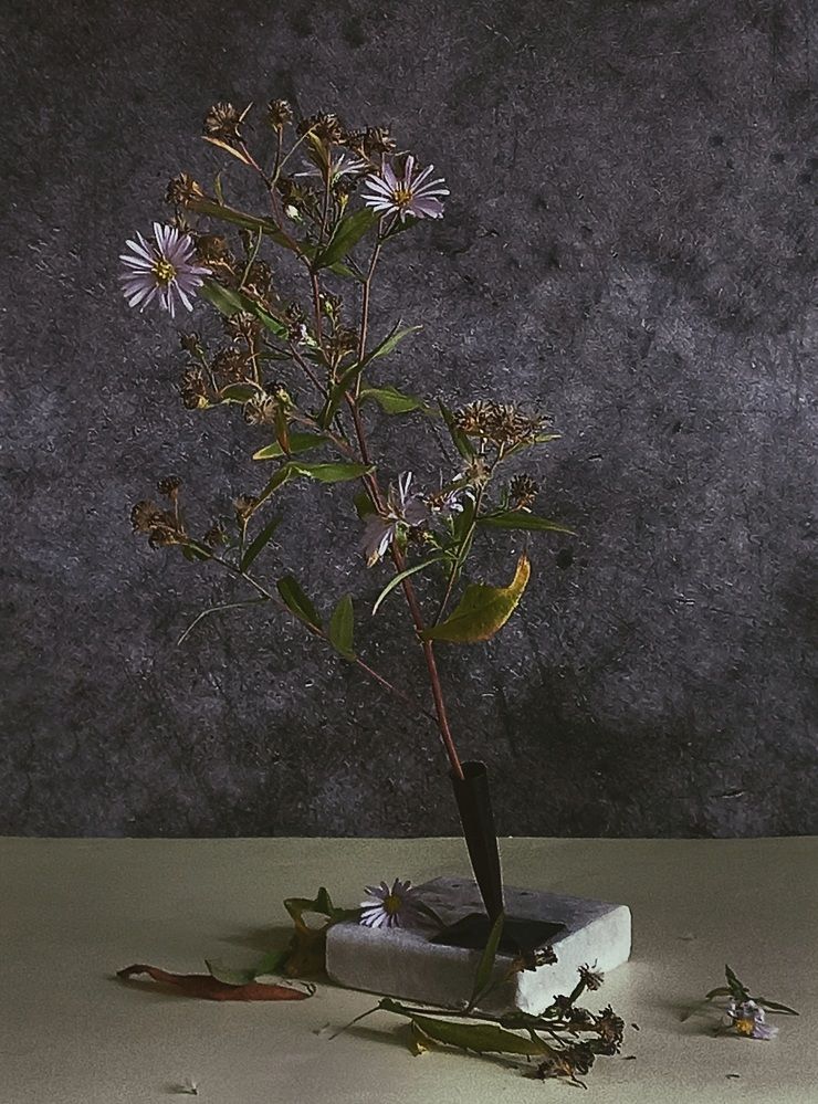 Photograph by Наталья Устюжина