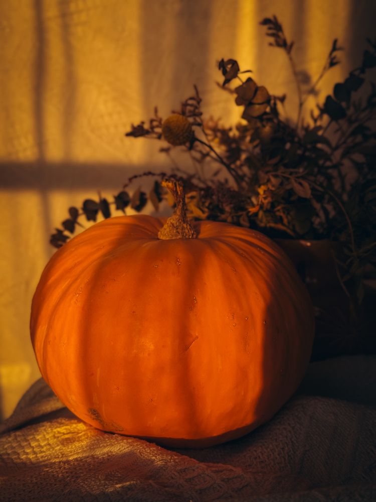 Photograph by Алёна Горошко