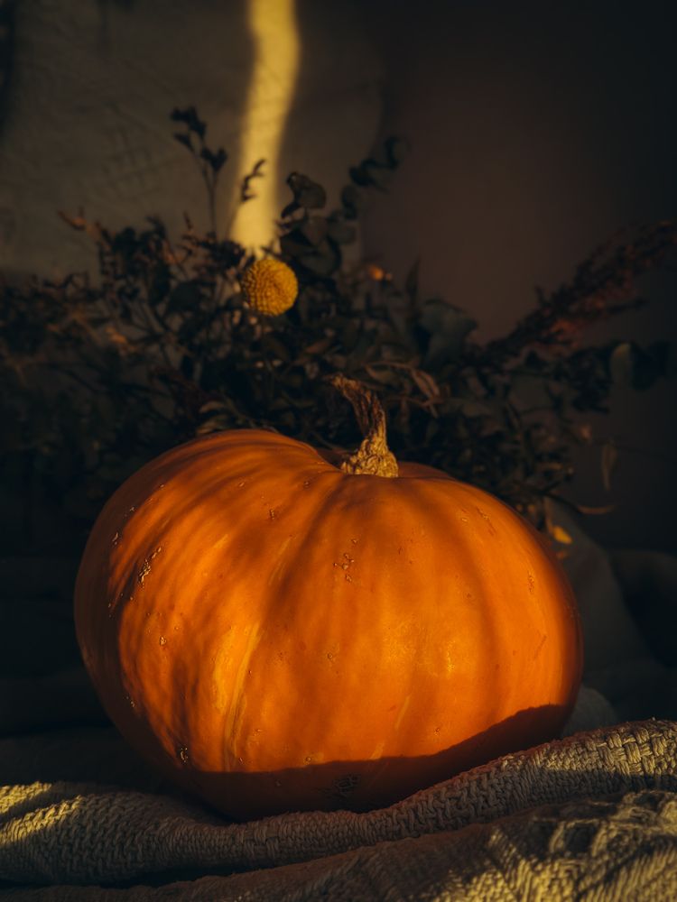 Photograph by Алёна Горошко