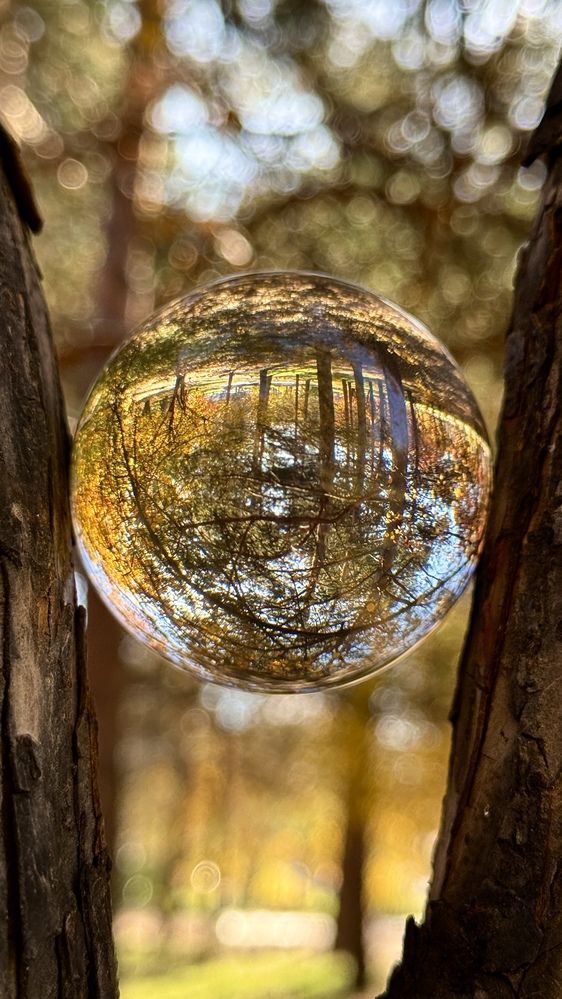 Photograph by Марина Мишутина