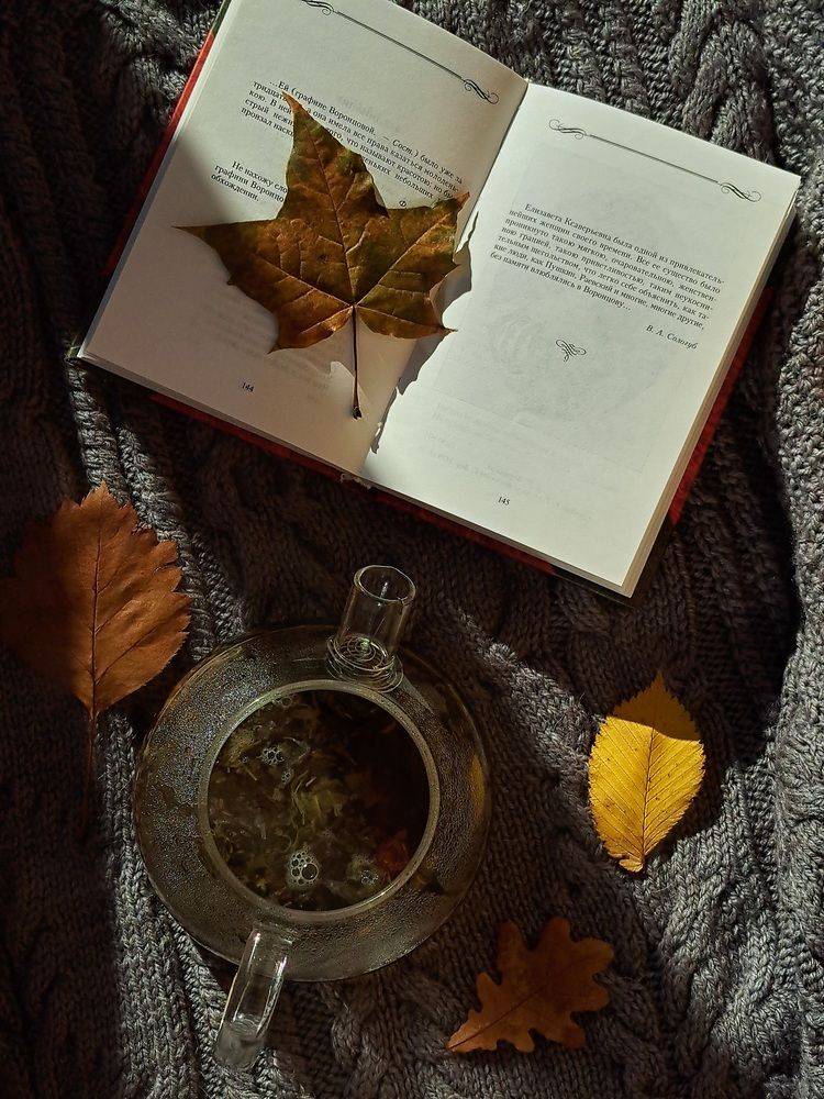 Photograph by Светлана Яковлева